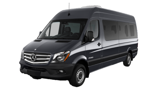 LUXURY VAN SPRINTER